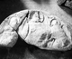 Jáki apátsági templom, Ny-i kapu lunetta dombormû restaurálás előtt